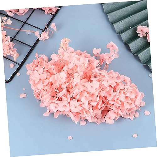 Pétalos secos naturales Hydrangea rosa para manualidades miniatura 5