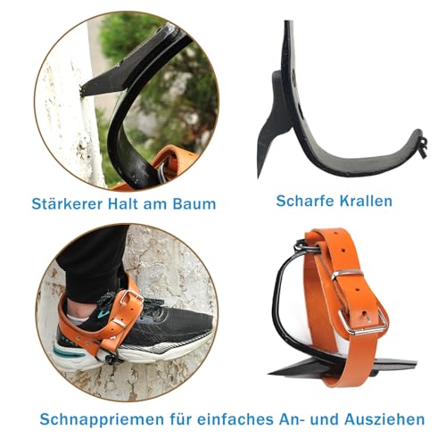 timiland Steigeisen Baumklettern,Baumklettern Ausrüstung,Höhenverstellbare und mit Rindslederriemen Baumklettern Schuhe,Rutschfestes Climbing Spike Set für Waldcamping, Obsternte.
