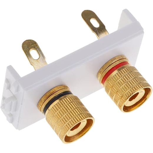 GAH Video Wall Socket Module 2 Ports Female Wallplate with F