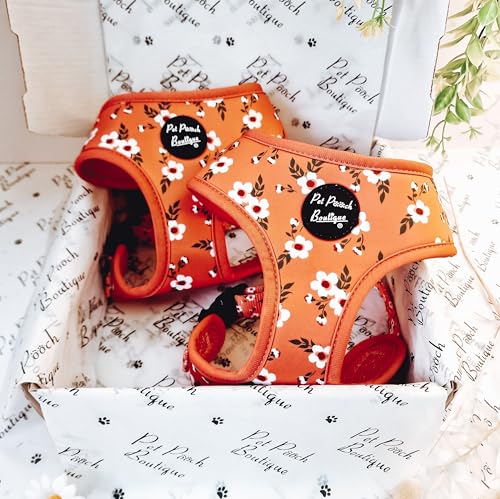 Peach & Ivy Blossom Dog Harness S, Orange, small
