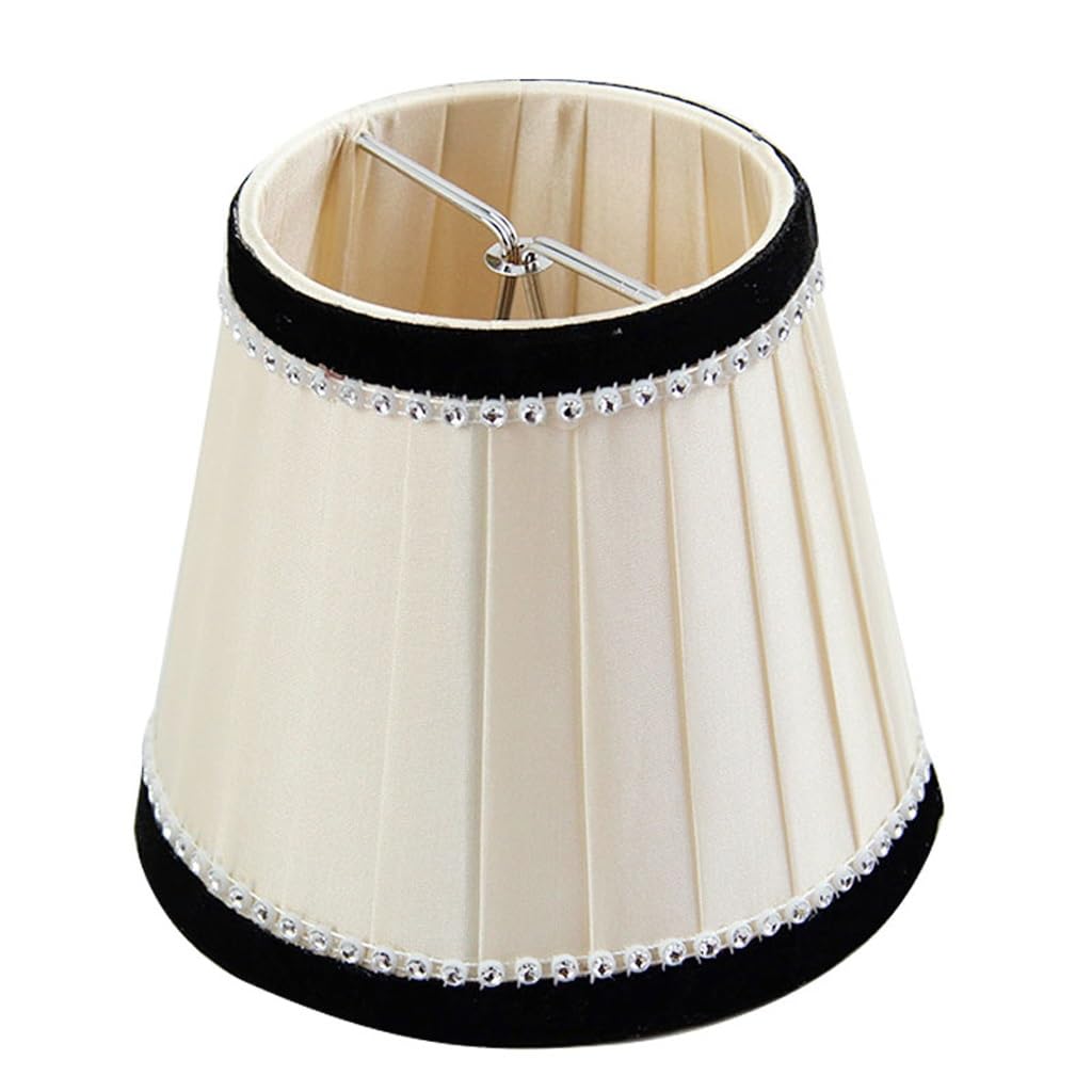 CSXSXAUO DINGZZ Chandelier Lampshade Decorative Wall Llamp Shade Only for Living Roon Home Lighting Accessories vision