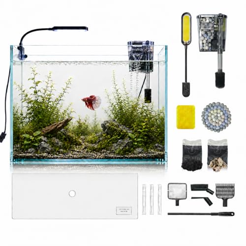 Image of 5-Gallon Ultra-Clear Glass Fish Tank Starter Kit, LED Light, Reusable 3-Stage Filter, Lid, Easy Maintenance Rimless Aquarium for Betta and Small Fish