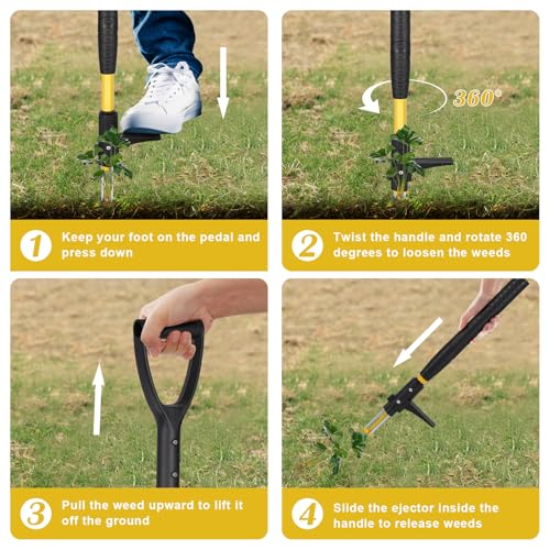 Gbekery LY-YMQ-001 39 Inch Detachable Weed Puller Tool Stand Up,Heavy Duty Ergonomic D-Handle Weeding Tool,High-Strength Stainless Steel 3-Claw Weeder thumb #3