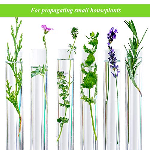 image for Weewooday 20 Pieces Plastic Test Tubes with Cork Stoppers and 2 Funnel