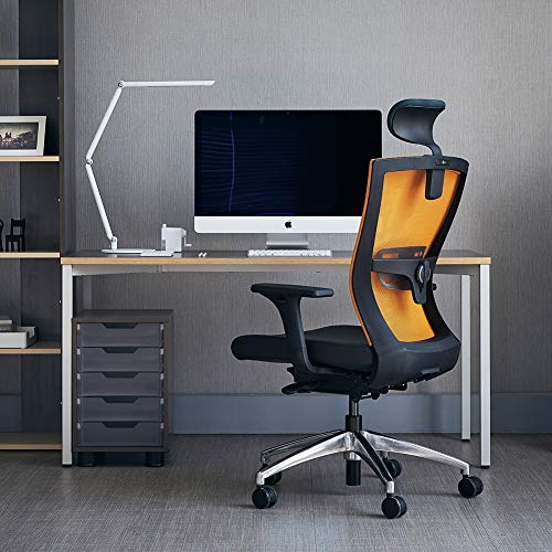 Image of KOAS INCLA Ergonomic Office Desk Chair with Ventilated Mesh Back, Adjustable Armrest(3D), Lumbar Support, Headrest, Grey