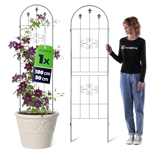 KADAX Metall Rankgitter 50 x 180 cm Rankhilfe für Kletterpflanzen Rosenrankgitter aus pulverbeschichtetem Stahl Pflanzengitter für Kletterrosen & Clematis