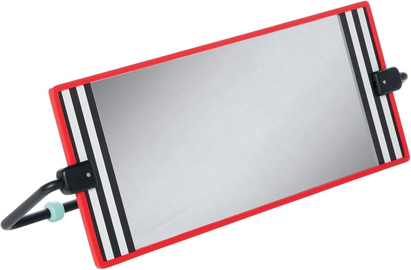 Manhattan Toy Wimmer Discovery Mirror