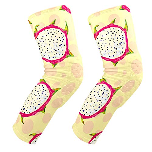 Genouillères rembourrées dragon pour homme et femme protège-genoux de sport