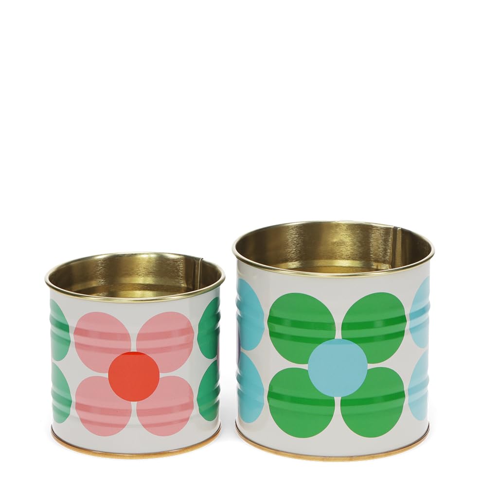 Rex London Blanc Storage Box Daisy Mini (X2)
