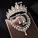 Gold Tiaras Crown And Jewelry Sets for women,Tiaras Earrings and Necklace for Wedding, Birthday,Rhinestone Crystal Bridal Jewelry Sets for Costume Birthday Party Prom (Gold White)