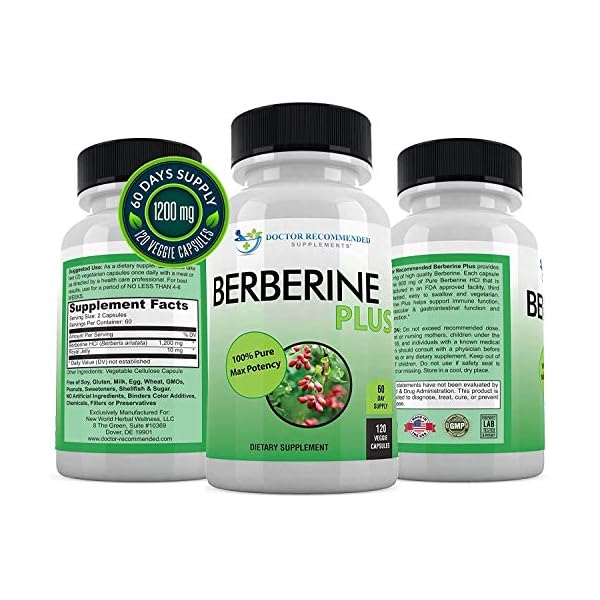 DOCTOR RECOMMENDED SUPPLEMENTS Berberine Plus 1200mg Per Serving - 120 Veggie Capsules with Royal Jelly