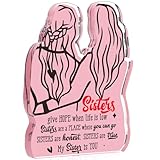 Sister Birthday Gifts from Sister, Unique Christmas Gifts Idea Sister Gifts for Big/Little Sister Friend Gifts Soul Sister Gifts BFF Bestie Unbiological Sister in Law Friendship Acrylic Plaque Sign