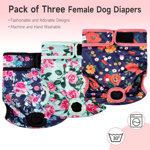 Image of Paw Legend Washable Reusable Female Dog Period Diapers for Heat Doggie Puppy Diapers for Female Dogs (3 Pack,X-Small)