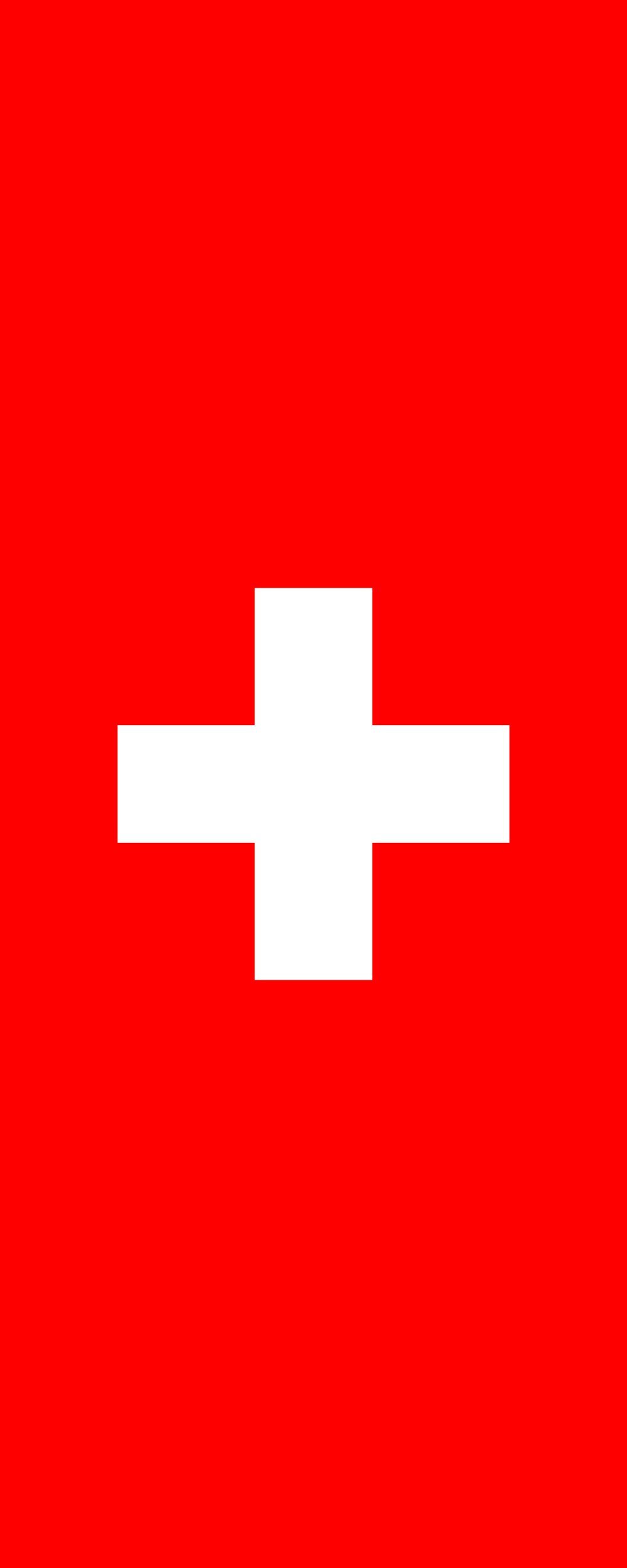 Drapeau Suisse 300x120cm pour décorer les fêtes et rassemblements