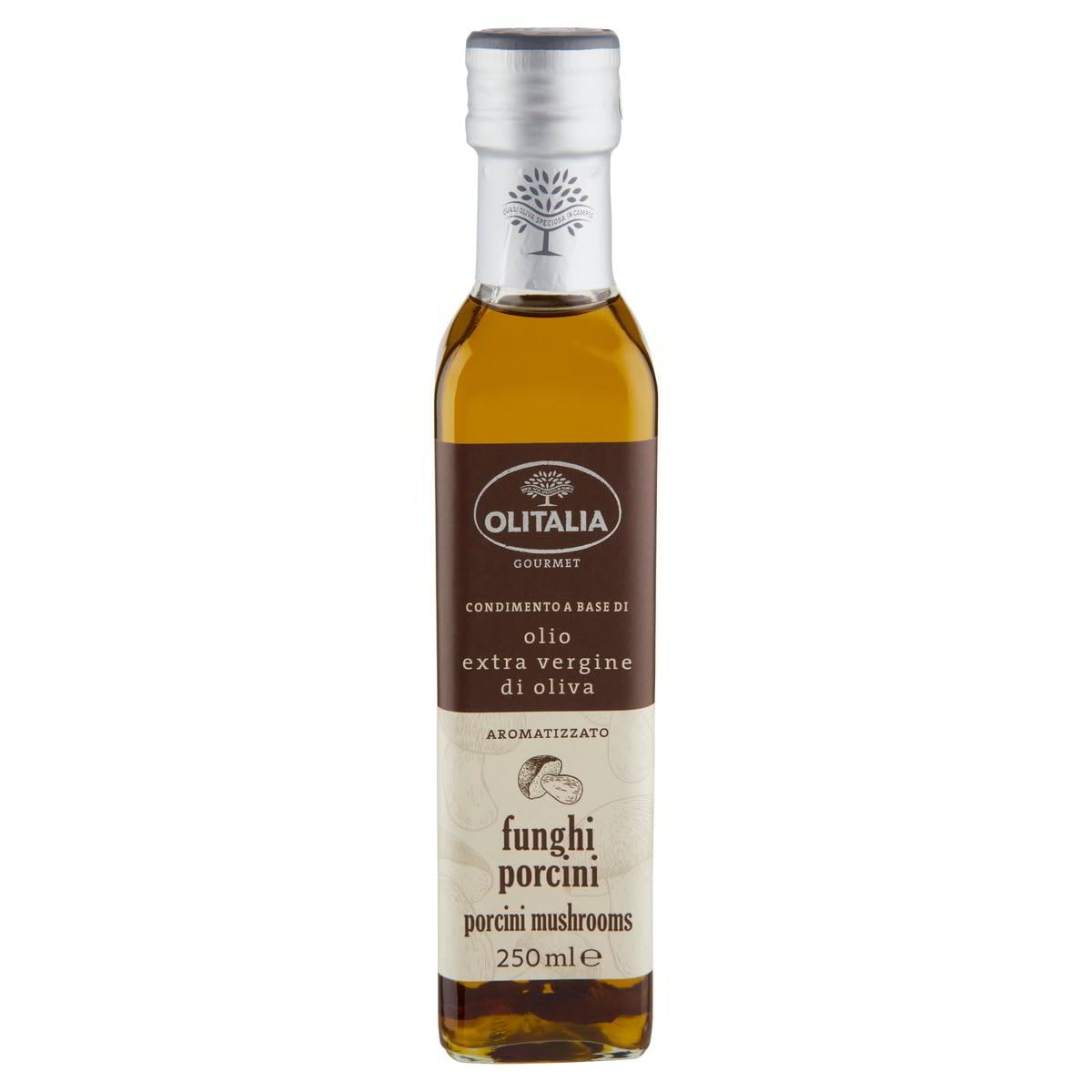 Olitalia Olio Condimento a Base di olio extra vergine di oliva all'aroma di funghi porcini, Extra Natives Olivenöl Porcini -Steinpilz geschmack 3x 250ml + Italian Gourmet polpa 400g