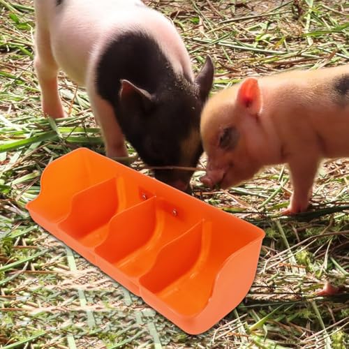 Mangeoire à cochons en PP orange à compartiments pour élevage porcin - 2