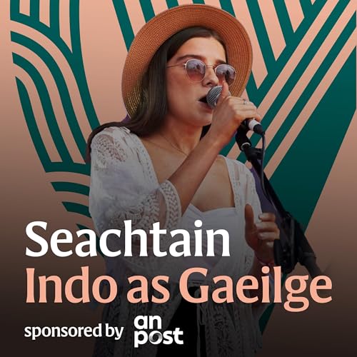 R&oacute;is&iacute;n Seoighe: &lsquo;T&aacute; m&eacute; oscailte do chomhoibri&uacute; le Fontaine&rsquo;s D.C!&rsquo;