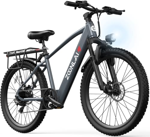 Electric Bike for Adults | 750W Brushless Motor | 40Miles