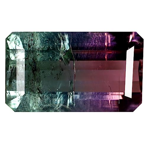 Tourmaline pastèque du Mozambique 3,98 ct, cadeau d'exception pour anniversaire