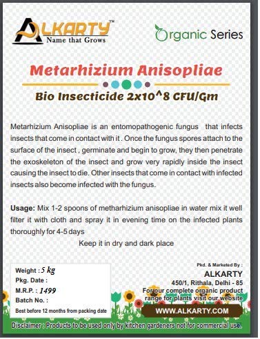 Metarhizium Anisopliae Bio Insecticide, 5 kg for Garden