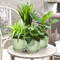 Homeuouz 5 Packs Blumentopf mit Bewässerungssystem, 17.8cm Pflanzentopf mit Bewässerungssystem, Übertopf mit Untersetzer, Blumentöpfe Set Ideal für Innen und Balkongärten, Hellgrün – Ansicht 7