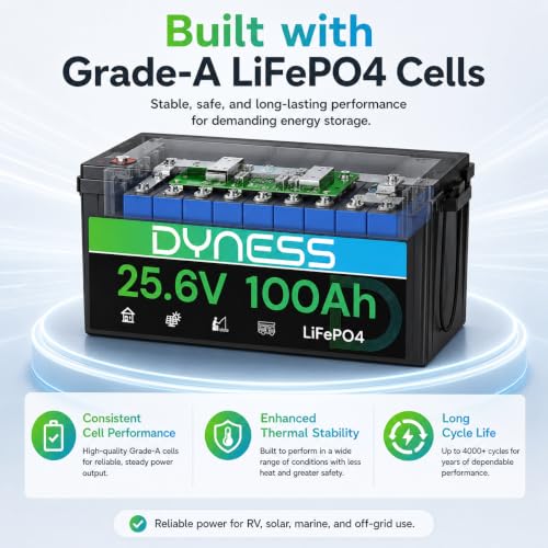 Image of Dyness 24V 100Ah LiFePO4 Lithium Battery, 2560Wh Large Capacity with Smart 100A BMS, 4000+ Deep Cycle, 10-Year Lifetime, Supports 4P2S Connection Up to 20.48kWh, Perfect for RV, Solar System, Marine