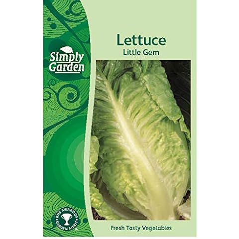 Simply Garden Lettuce Little Gem Seeds for Home Cover
