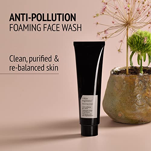 /Skin Regimen/ Anti-Pollution Face Cleansing Cream, 5.07 Fl Oz #TOP3