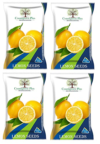 Image of Organic Lemon Seeds | (25 Seeds, 4 Packet) Non Hybrid Nimbu Beej For Pots Farming & Gardening Seeds