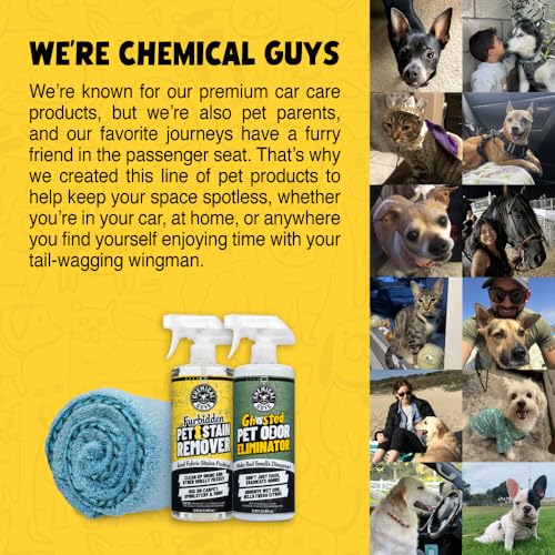Chemical Guys Furbidden Pet Stain Cleaner