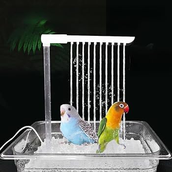 Amazon.co.jp: インコ 水浴び 鳥 水浴び 自動水浴び ミニ