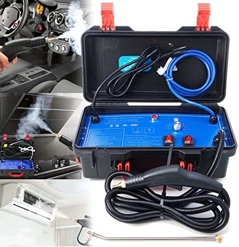 High Pressure Portable Steam Cleaner, 1700W/3000W Handheld High Temp Machine, Tankless Heavy Duty for Kitchen, Bathroom, Furniture, Car Detailing, 220V