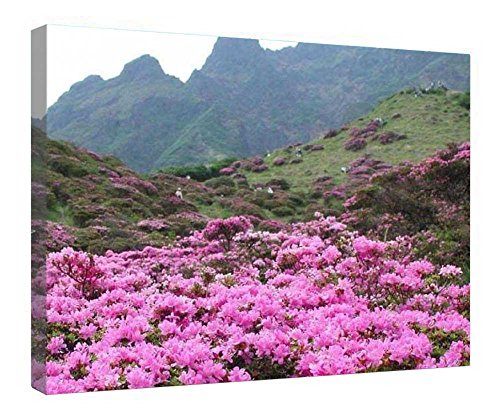 Impression sur toile fleurs roses 40x50 cm avec cadre bois à suspendre