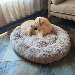 Coohom-Oval-Calming-Donut-Cuddler-Dog-BedShag-Faux-Fur-Cat-Bed-Washable-Round-Pillow-Pet-Bed303643-for-Small-Medium-Dogs-XL36x27x7Light-Brown - Cucciolini Doodles   Coohom-Oval-Calming-Donut-Cuddler-Dog-BedShag-Faux-Fur-Cat-Bed-Washable-Round-Pillow-Pet-Bed303643-for-Small-Medium-Dogs-XL36x27x7Light-Brown