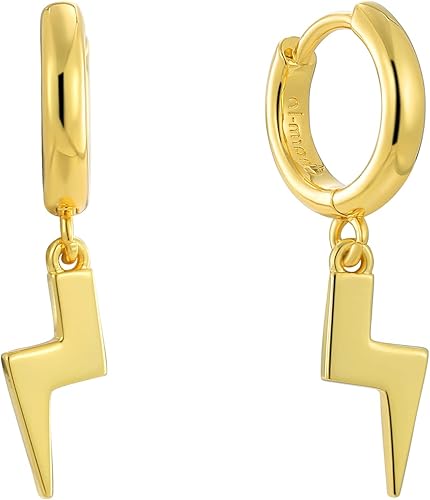 14K Gold Plated Drop Earrings-Medium Huggie Hoop Charm Earrings Lightweight Dangle Earrings for Women-Summer Beach Jewelry Hypoallergenic Gift for