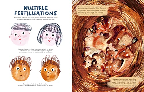 Mama Mammals: Reproduction and Birth in Mammals