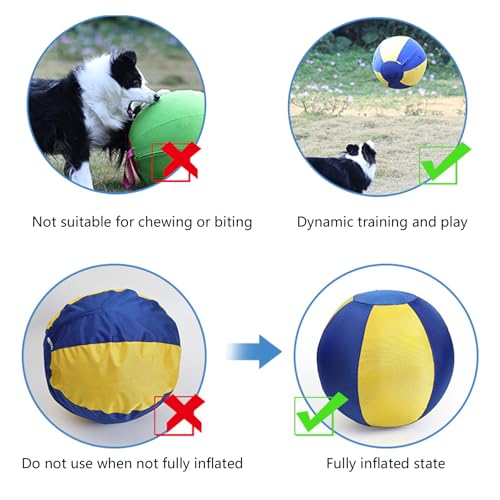 Jeté de jeu gonflable pour chien interactif et ultra résistant - 5
