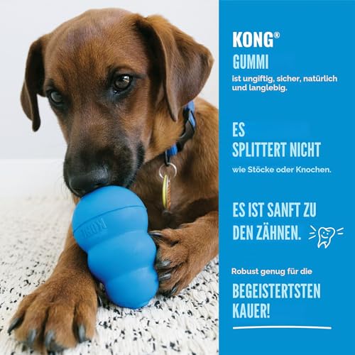 KONG Puppy Tires, Für Kleine Welpen