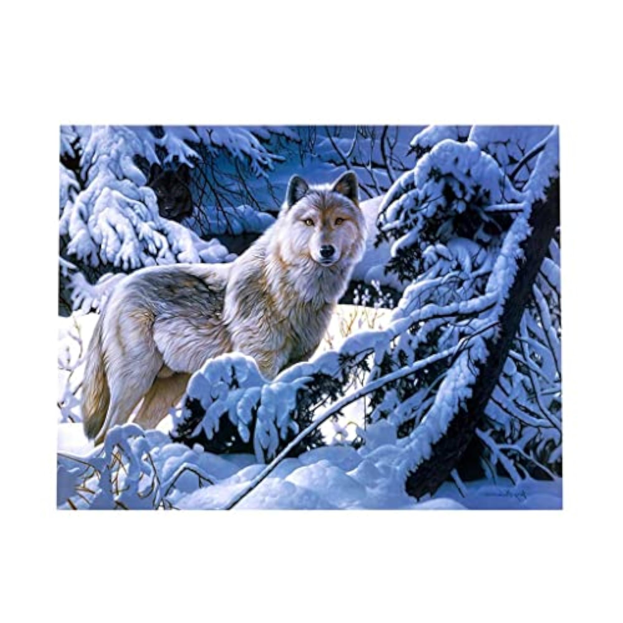 DIY Diamond Picture with Crystal Painting Kit