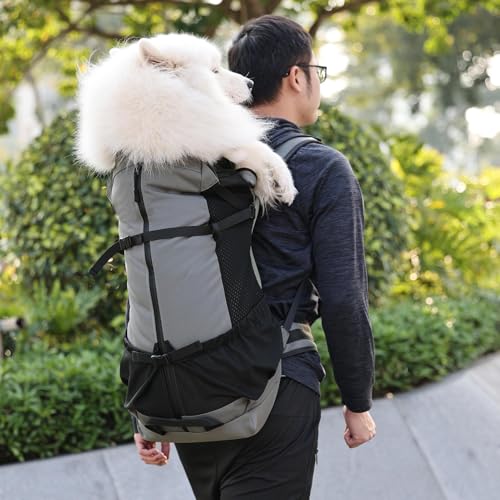Hundeträger -Rucksack - Mit Großer Kapazität, Anti -Haar -Prise Pack | Multifunktionales Wanderabenteuerdesign Im Freien, Entkommen Beständiger Rucksack Für Große Hunde, Das Gehen Camping Ver