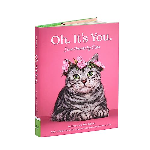 Oh. It's You.: Love Poems by Cats - Image 6