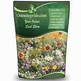 Outsidepride Insectary Wildflower Seed Mix - 1/4 lb Combination of Deep-Rooted Perennial & Fast Growing Annual Wildflower Seeds for Attracting Beneficial Insects & Enhancing Biodiversity