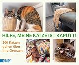 hilfe meine katze ist kaputt