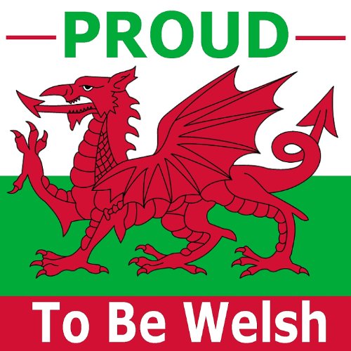 Crowd at Cardiff Arms Park 1959