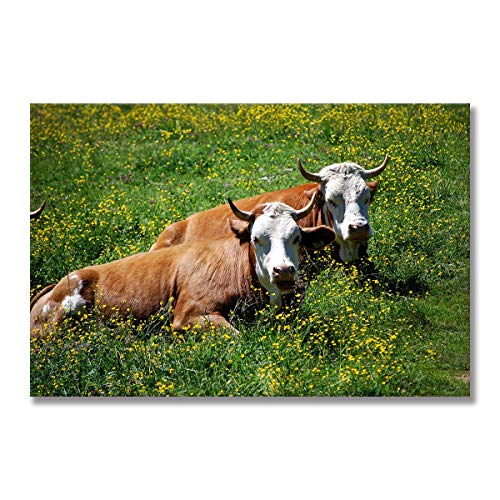 Peinture sur toile vache des Highlands art mural haut de gamme 60x100cm