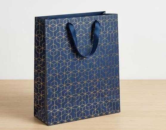 PaperAura Premium Gift Bag with Rope Handles | Luxury Paper Carry Bag for Gifts, Return Gifts, Shopping & Festive Packaging | Reusable Designer Gift Bag 13 x 4.5 x 17 Inches (Blue, Pack Of 4, Design 5)-image-12