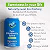 TAMAYA Blueberry Juice Pure Blueberries Fresh Pres... #5