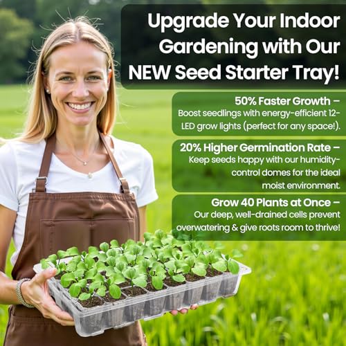 Bonviee 2-Pack Seed Starter Tray with Plant Light, Elevated Seedling Starter Trays Kits with Adjustable Humidity Domes and Clear Cell Tray, 12 Full Spectrum Led Lamp Beads for Plants Indoor-Clear