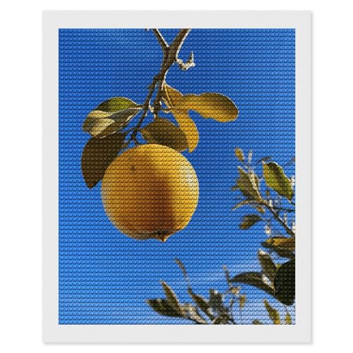 Kit peinture diamant adultes débutants Fruit jaune 5D broderie diamant ronde DIY art créatif