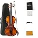 クリスティーナV 02 4/4大人初心者フルサイズヴァイオリン、オルゴール付きヴァイオリンキット、ヴァイオリン弓と調律器、説明書、ロシン、ショルダーレスト、余分な弦と清潔布